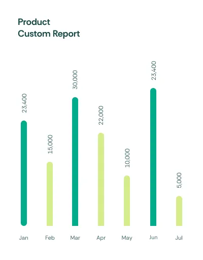 Custom expense report